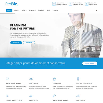 ThemeForest ProBiz!