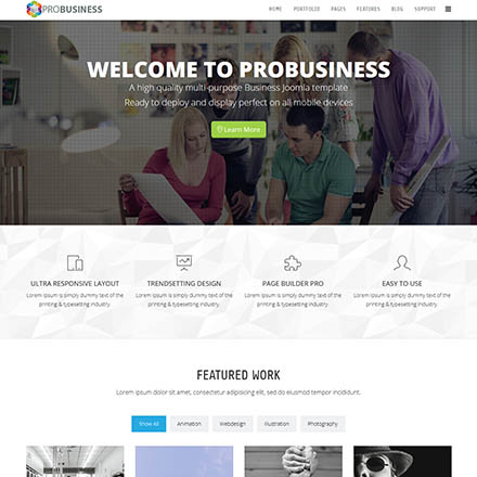 ThemeForest ProBusiness