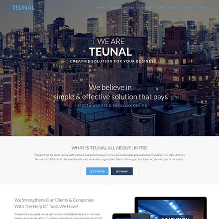 ThemeForest Teunal