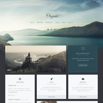 YOOtheme Organic